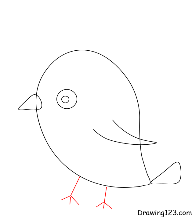 How to Draw a Robin Bird - Step by Step Easy Drawing Guides - Drawing Howtos