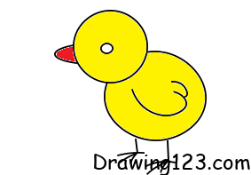 chicken-drawing-step-8