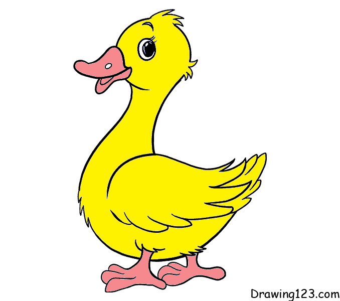 duck-drawing-step-9