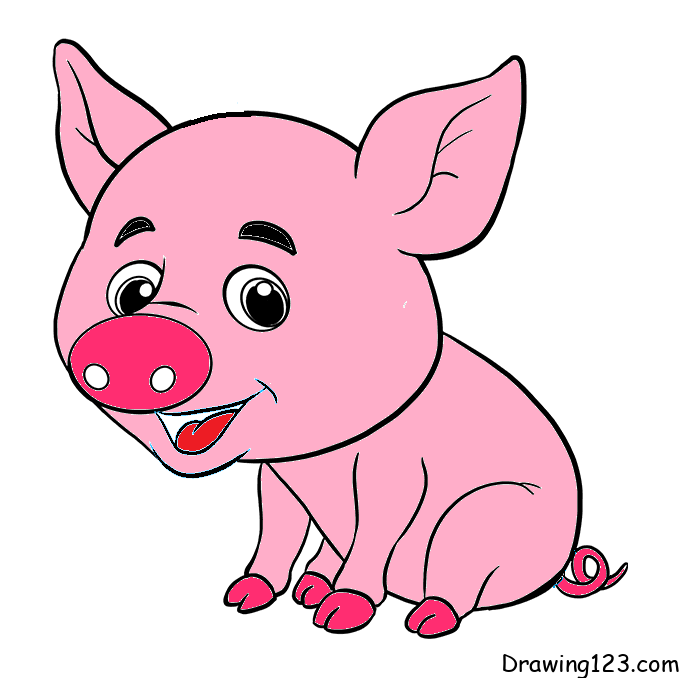 pig drawing step 9