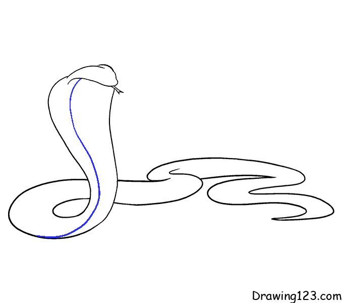 Simple Snake Outline Drawing 20050919 PNG