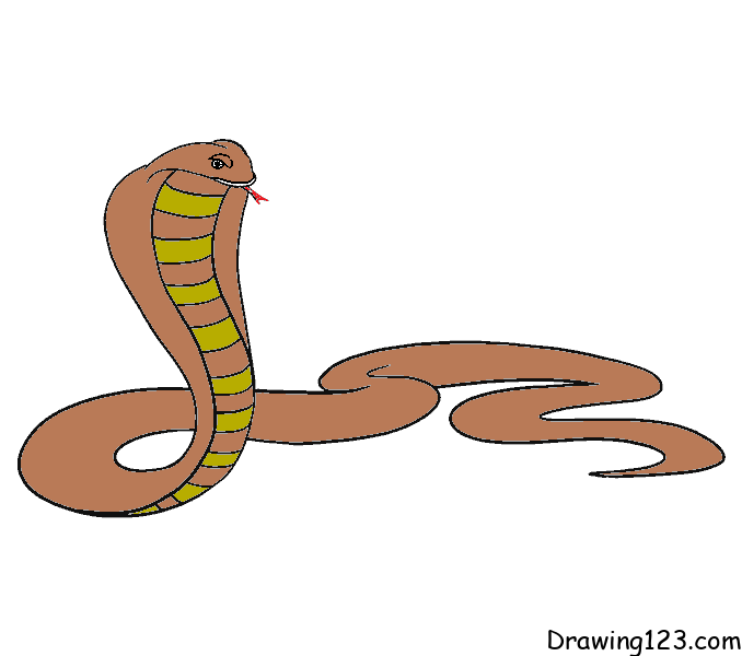Wąż rysunek