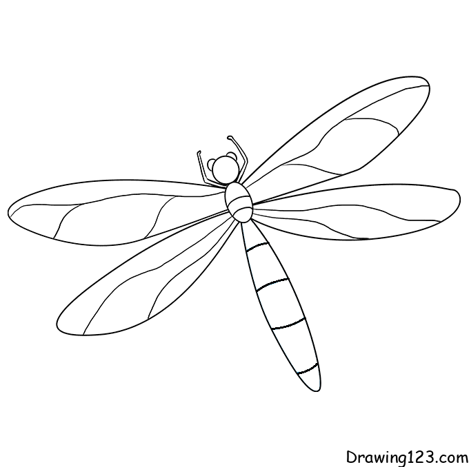 Dragonfly-drawing-step-7