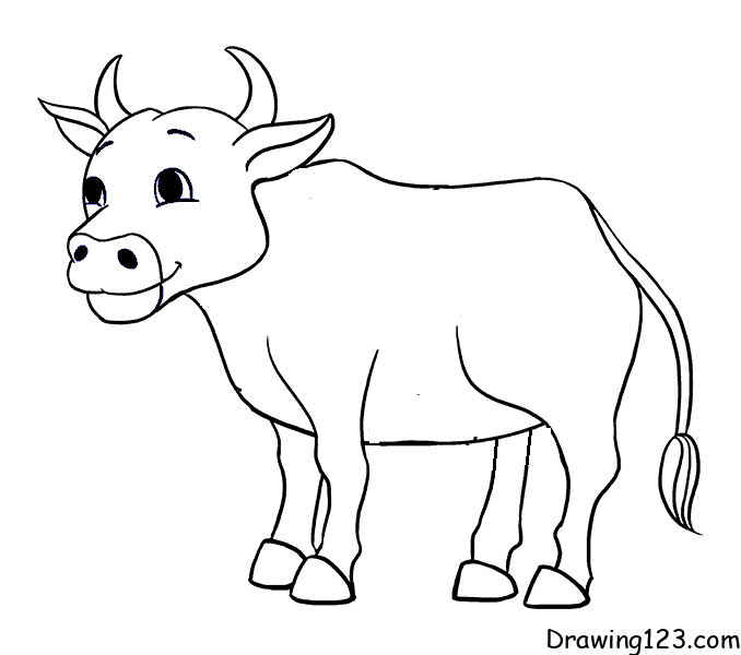 cow-drawing-step-11