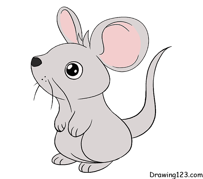 mouse-drawing-step-8