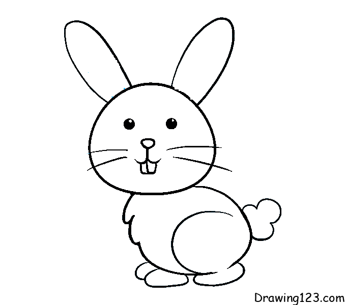 rabbit-drawing-step-7