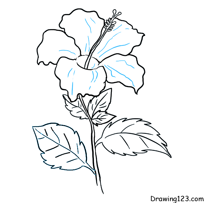 How to Draw a Hibiscus Flower Easy 🌺 - YouTube-saigonsouth.com.vn