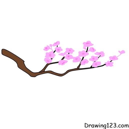 Drawing-Cherry-Blossom-step4