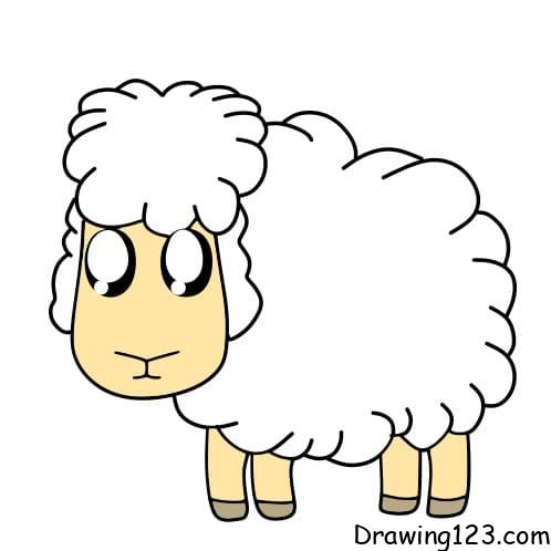 Drawing-sheep-step8-4