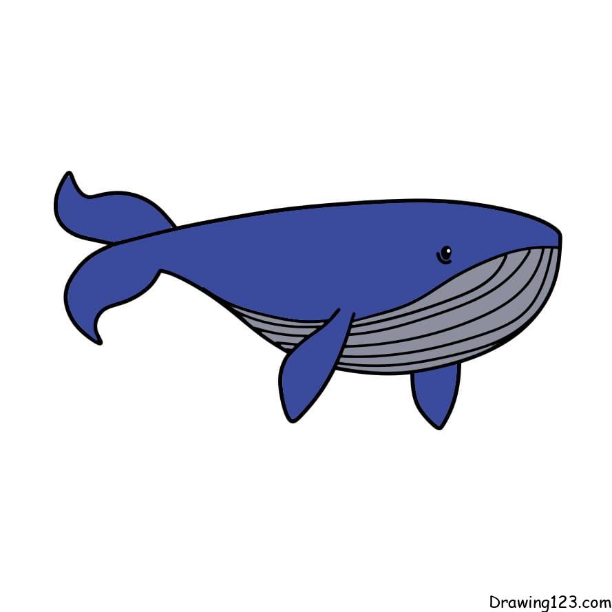 Whale Drawing Tutorial - How to draw Whale step by step