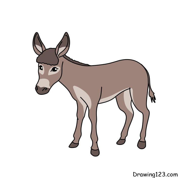 draw-donkey-steps-9-3
