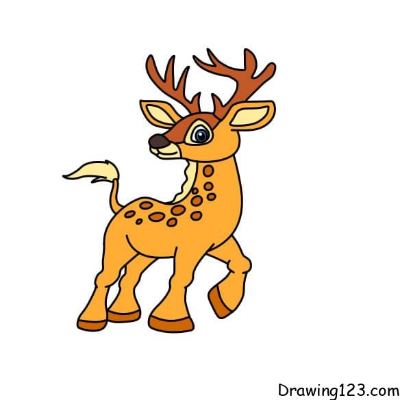 drawing-deer-step11-3