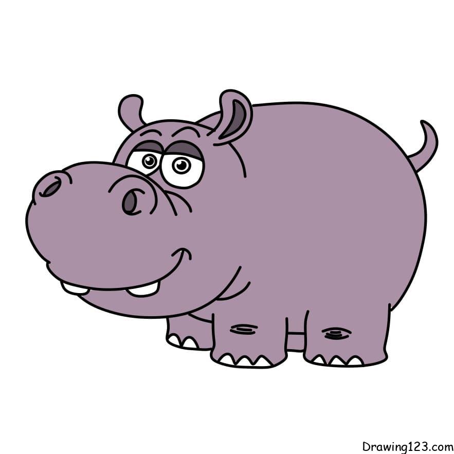 drawing-hippopotamus-step13