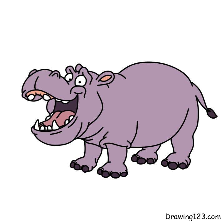 drawing-hippopotamus-step16