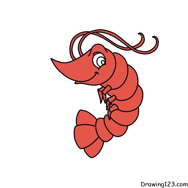 drawing-shrimp-step8-4