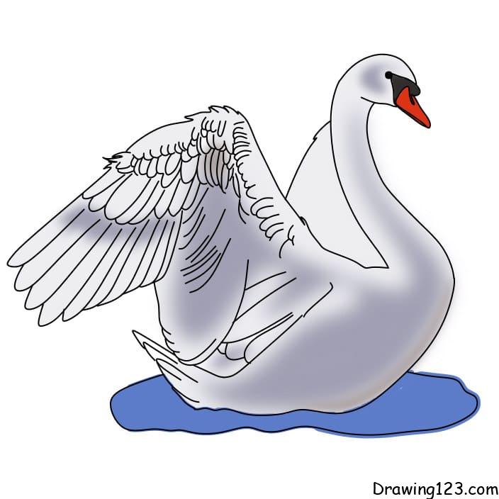 Swan Drawing Tutorial - How to draw Swan step by step