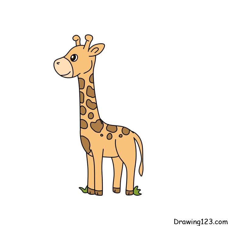 drawing giraffe -step