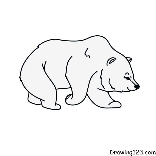 drawing-polar-bear-step9-1