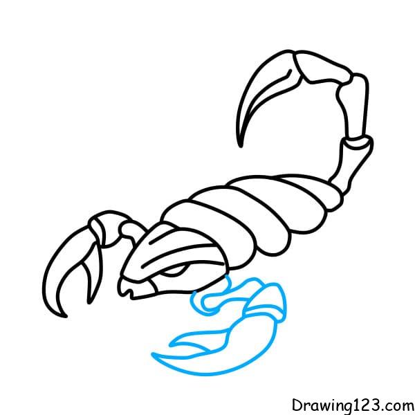 How to Draw a Scorpion  Timed Drawing Exercise