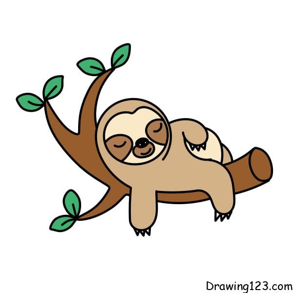 Drawing-sloth-step10-1