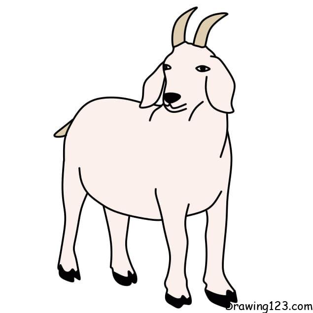 drawing-a-goat-step-11