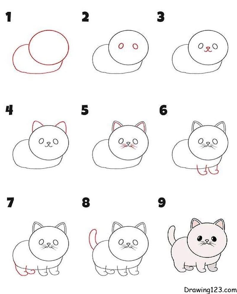 How to Draw a Cat Easy-saigonsouth.com.vn