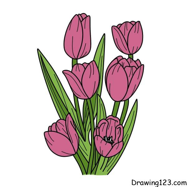 Drawing-Tulips-step-11