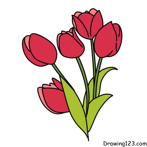 Drawing-Tulips-step-6-3