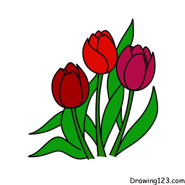 Drawing-Tulips-step-7-1