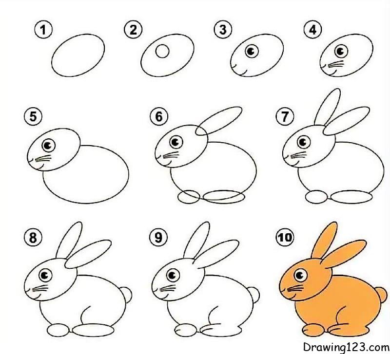 How to draw Cute Rabbit - video Dailymotion