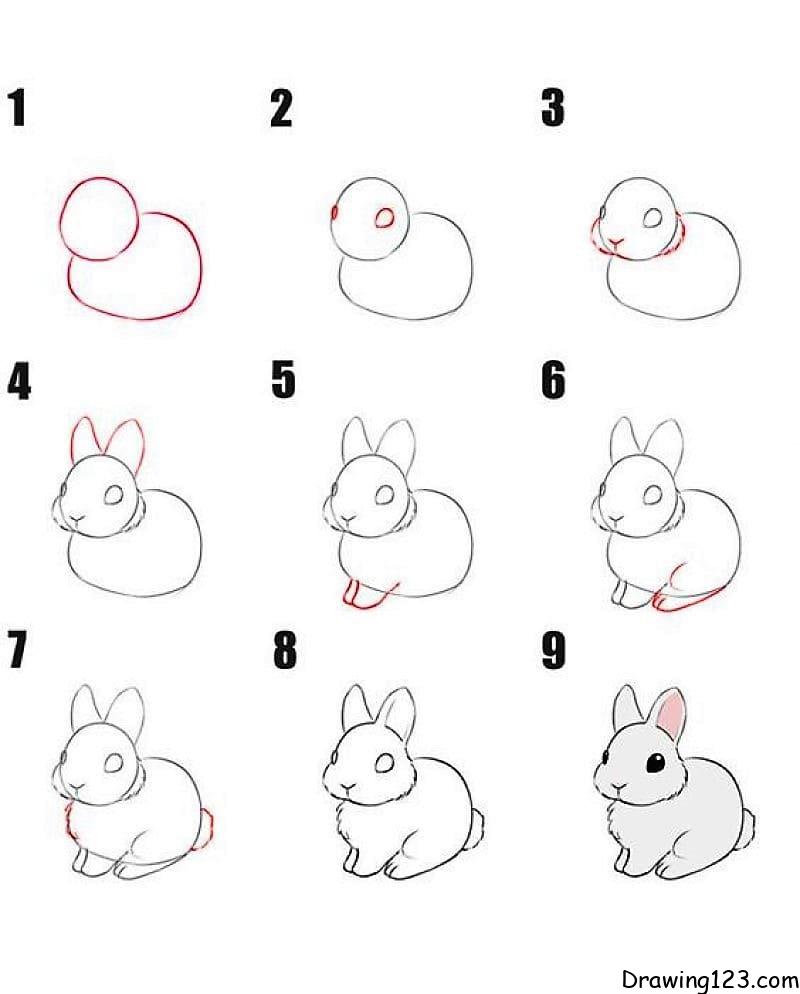 How to Draw Cartoon Bunny - Really Easy Drawing Tutorial