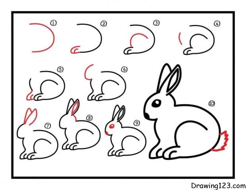 How to Draw a Rabbit - Step by Step Easy Drawing Guides - Drawing Howtos-saigonsouth.com.vn
