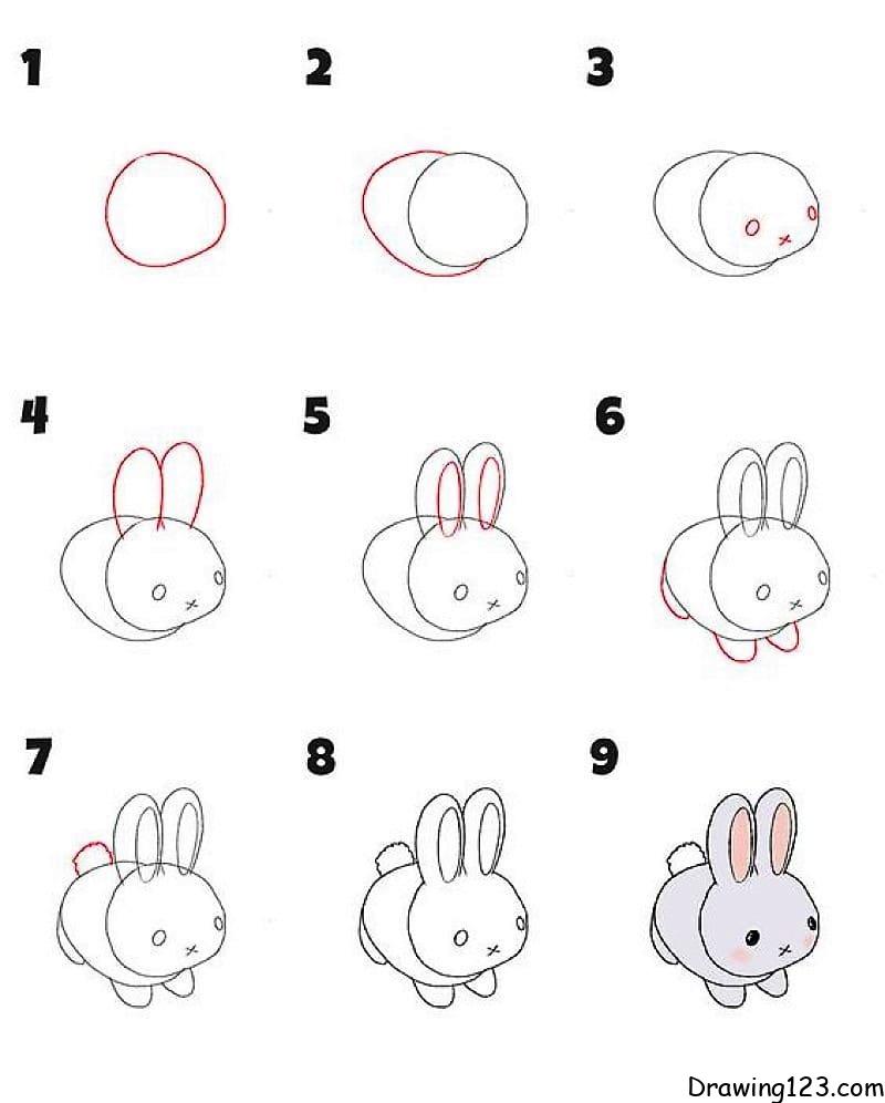 Cute Rabbit Drawing For Kids and Beginners|| Easy step by step|| Bunny  Drawing Easy #Drawing #Art - YouTube