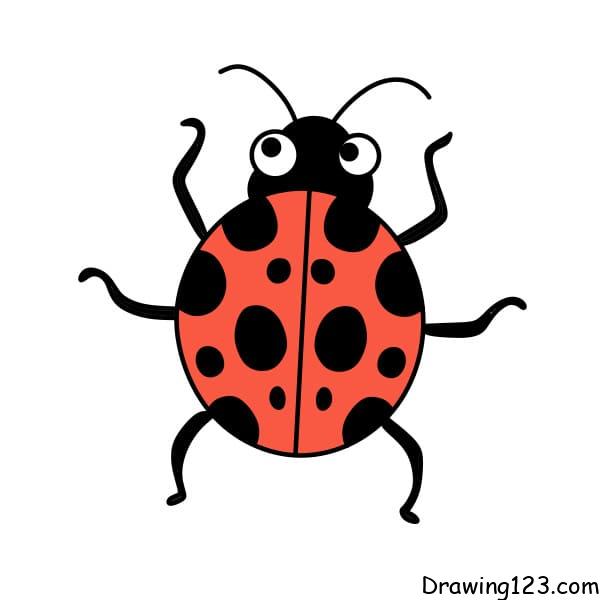 Drawing-Ladybug-Step-7