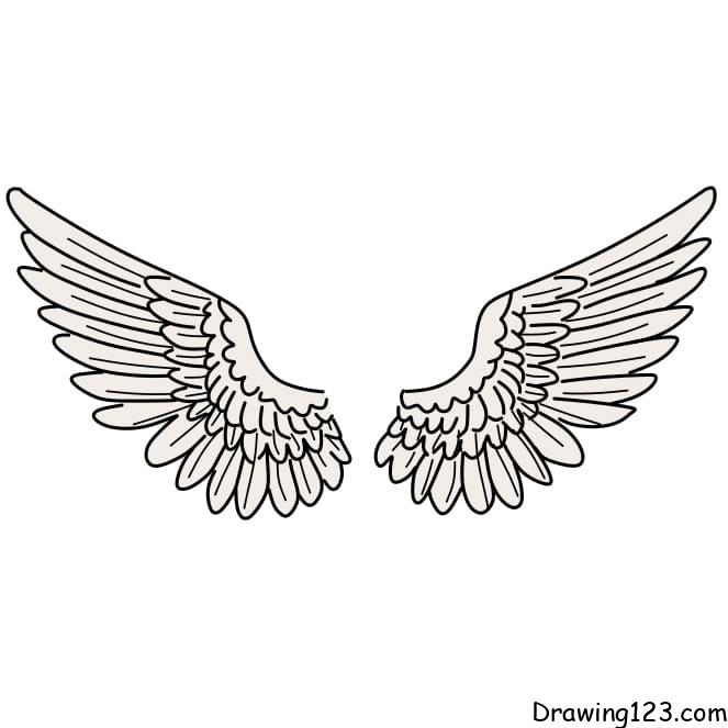 Drawing-wings-step-7