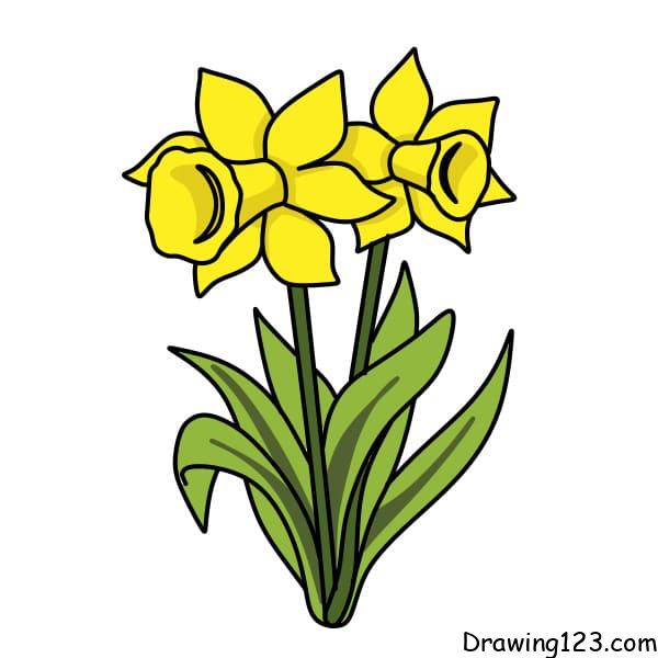 drawing-daffodils-step-9