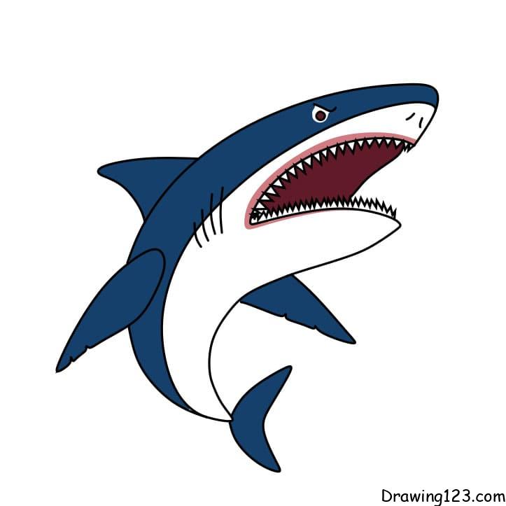 how-to-draw-shark-step-7