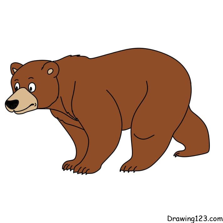 How-to-draw-a-bear-step-8-1 イラスト