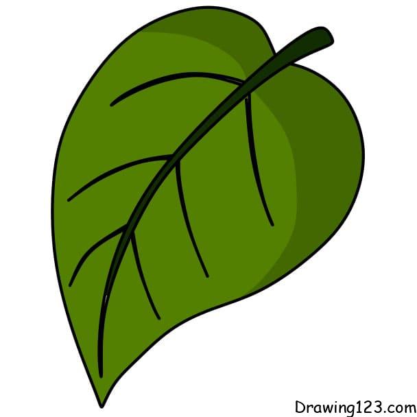 how-to-draw-a-leaf-step-4-7 イラスト
