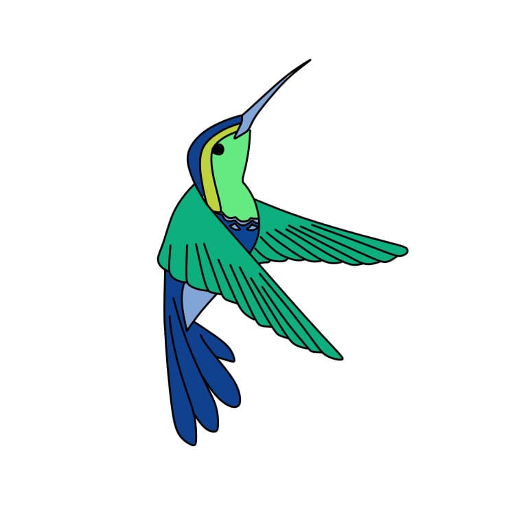 How-to-Draw-a-Hummingbird-Step-8-10