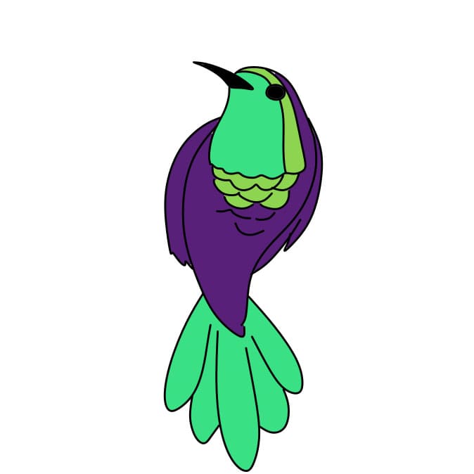 How-to-Draw-a-Hummingbird-Step-8-12