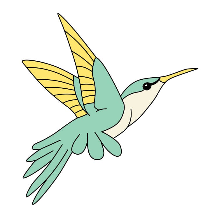 How-to-Draw-a-Hummingbird-Step-8-8