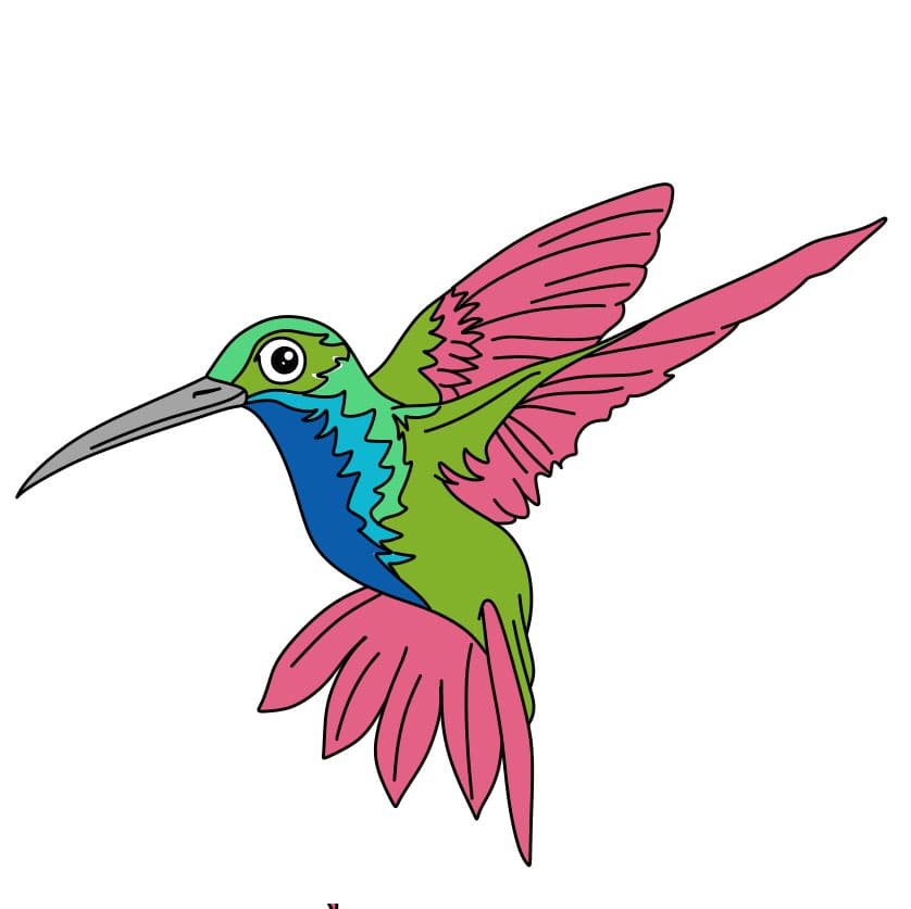 How-to-Draw-a-Hummingbird-Step-9