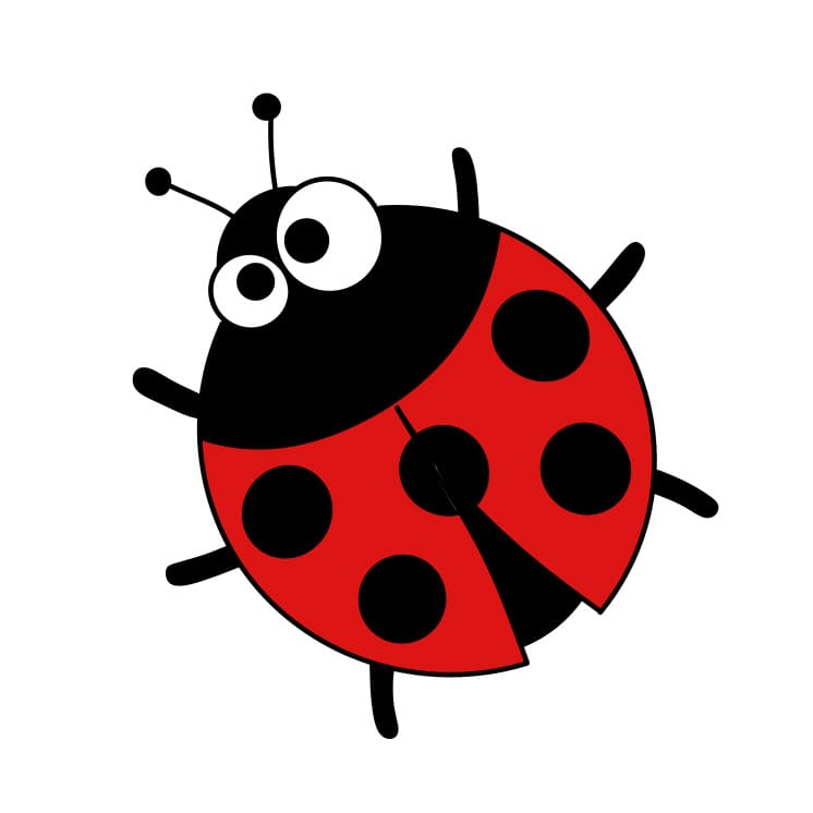 How-to-Draw-a-Ladybug-Step-6-2