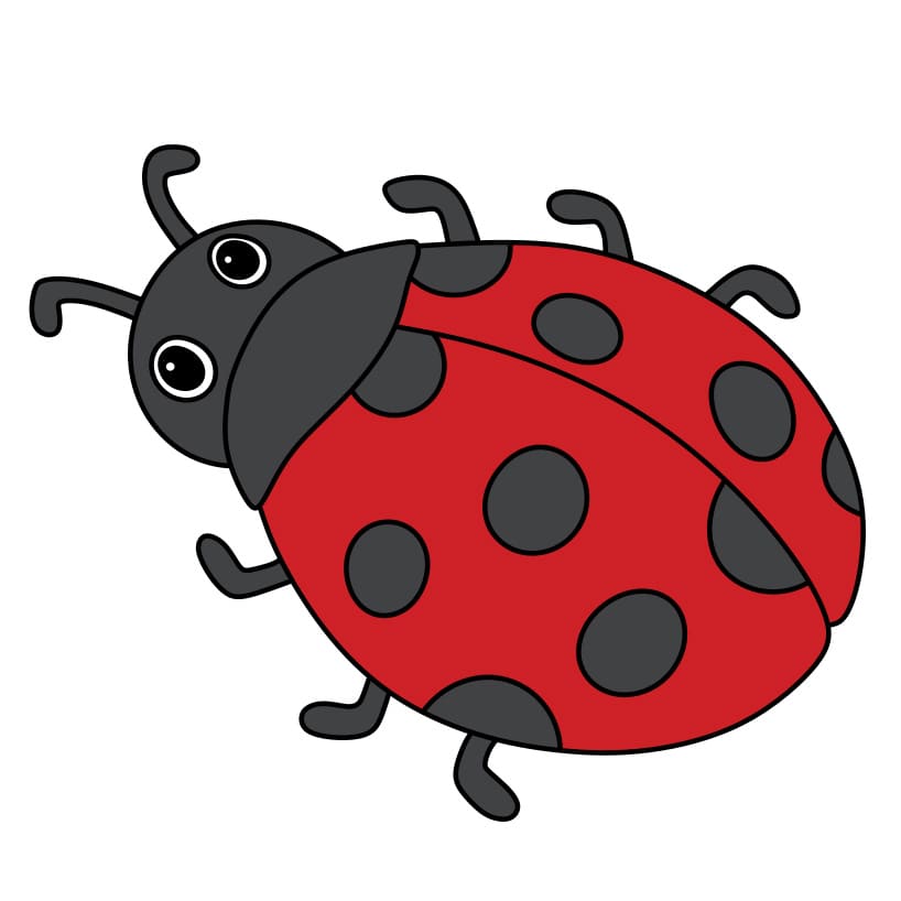 How to Draw Cartoon Ladybugs in Easy Step by Step Drawing Tutorial - How to  Draw Step by Step Drawing Tutorials