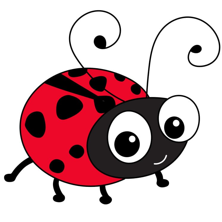 How-to-Draw-a-Ladybug-Step-8-2
