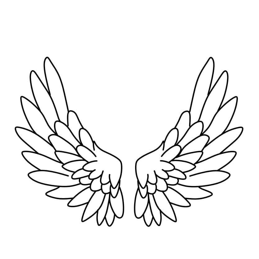 How-to-draw-angel-wings-Step-4-5