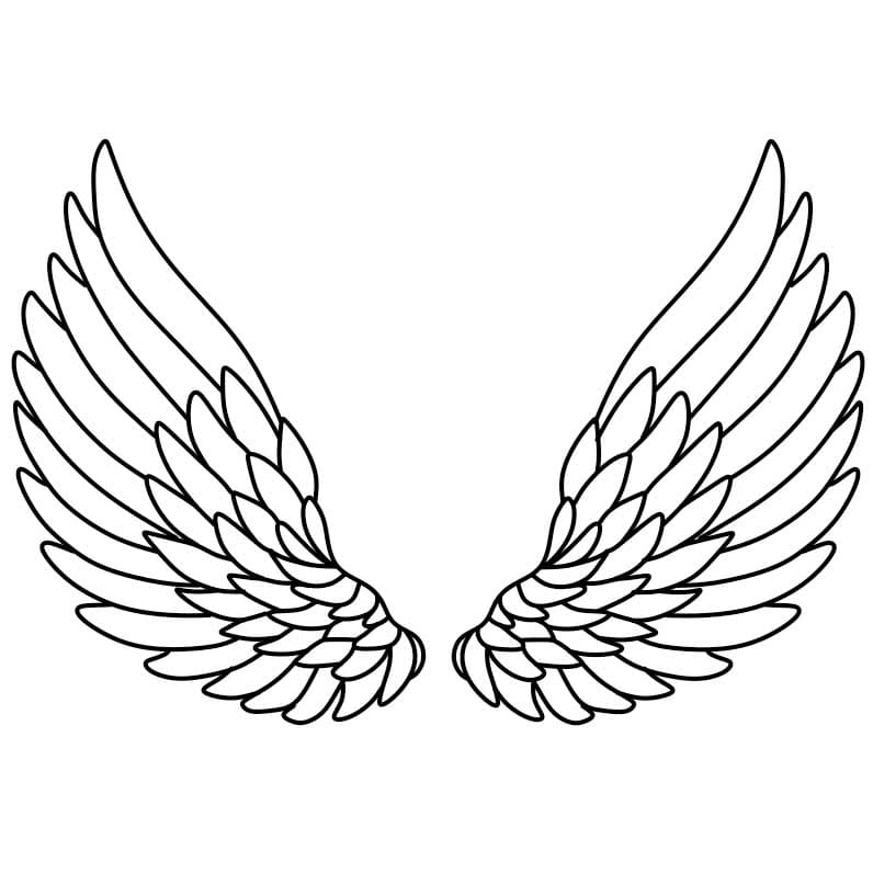 How-to-draw-angel-wings-Step-5-2