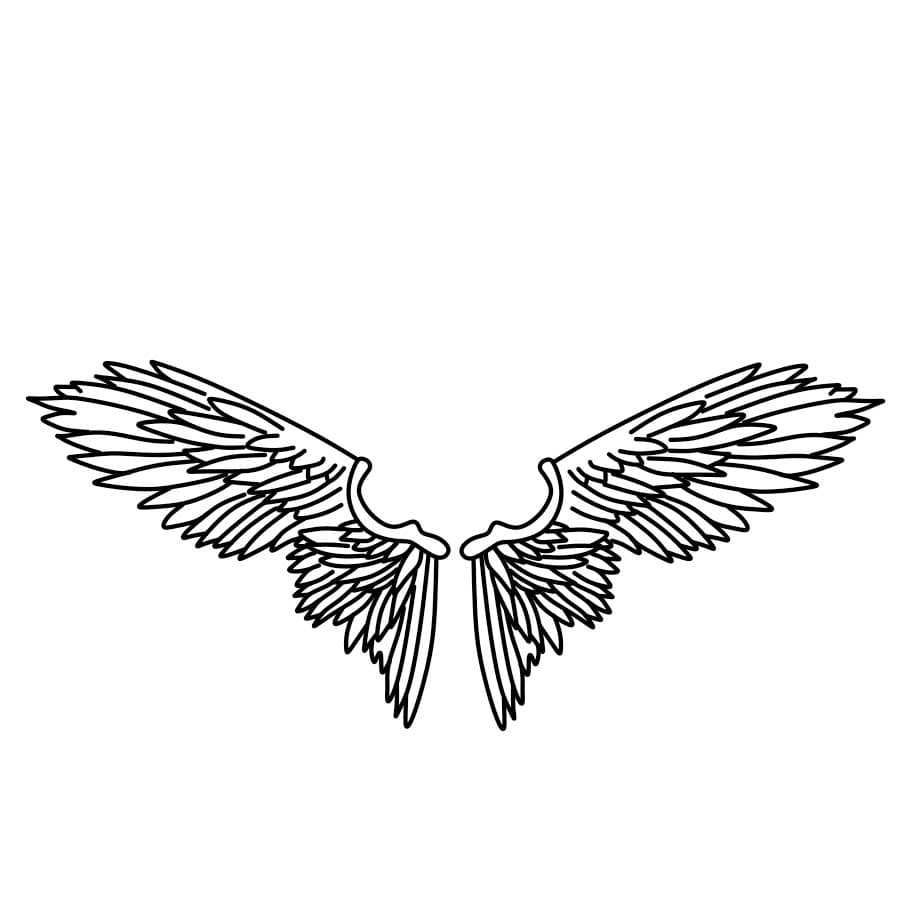 How-to-draw-angel-wings-Step-6-3