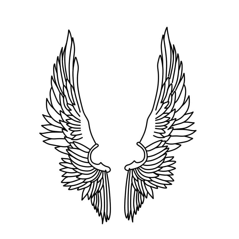 How-to-draw-angel-wings-Step-8